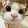 rubyruby2775