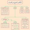 hafiznawjum3