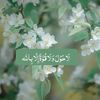 user810775850040