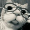 mattchalatve_chwrrypie
