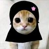 OIQQ