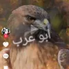 hm___ar3