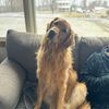 robert.charles52