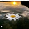 nur_yuz