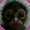 _itz_xime0