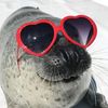 seal_007