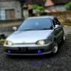 intansari5390