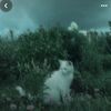ivan_0a2