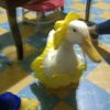 gery7884