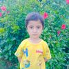 fazal.wahab599