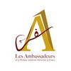 Les_ambassadeurs_andalous