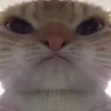 nopointanymor3