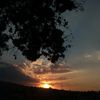 suabitel_123