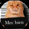 moustvphvlil_mousto