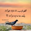 user4695476005159