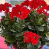 anoula.andy4