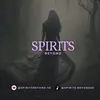 spirits.beyondse