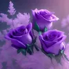 محمود  دوسكي 15