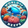 World of Reefs🪸🐠