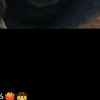 notificacion.293
