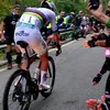 massifrancesco.fr