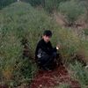 user3934592012458