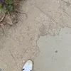 jakebns0