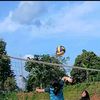 nay4raaa