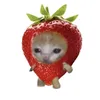 its.just.zeyy_
