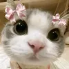 iyannacasseyaa_