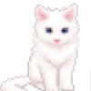 instantcatz
