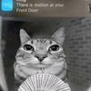 you.heng6