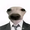 cibiditoilethehe