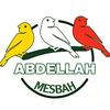 mesbahabdellah31