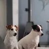 coco29986
