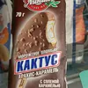 kaktus_sb