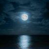 moonblack214