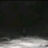 marzz644