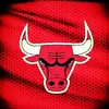 bulls6862