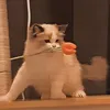 vakonolb