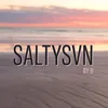 saltysvn
