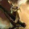 white.rabbit77