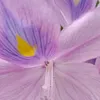 onththu58
