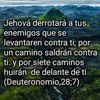 herminiaapaza5