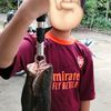 anglerabizz