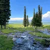 phuy2080
