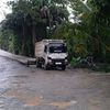 arif82987