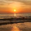 wahid_694