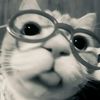 syasya_78.2