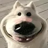 _halzz_